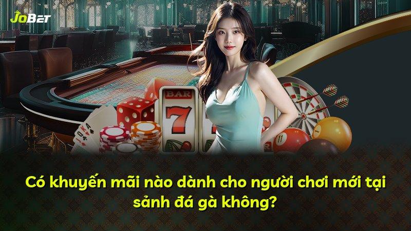 Có khuyến mãi nào dành cho người chơi mới tại sảnh đá gà không?