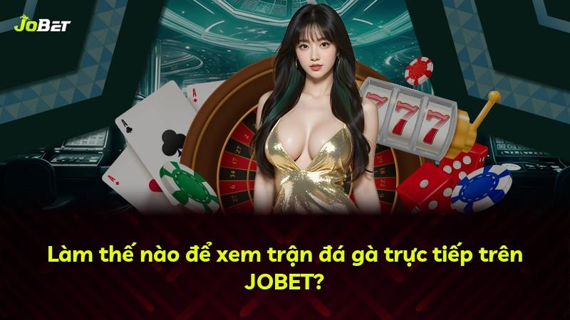 Làm thế nào để xem trận đá gà trực tiếp trên JOBET?