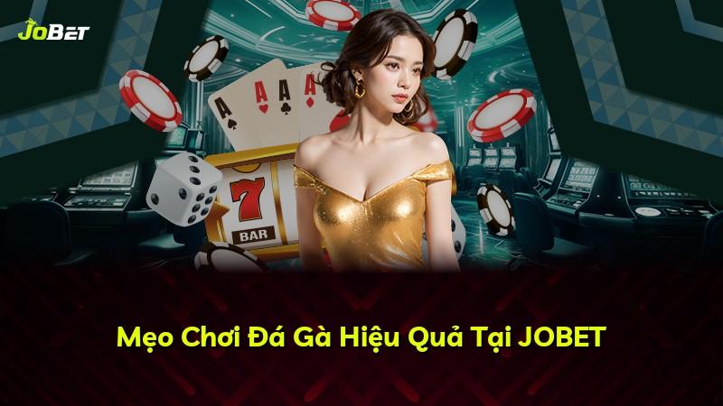 Mẹo Chơi Đá Gà Hiệu Quả Tại JOBET