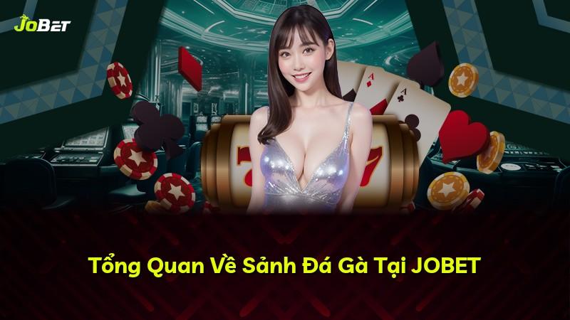 Tổng Quan Về Sảnh Đá Gà Tại JOBET
